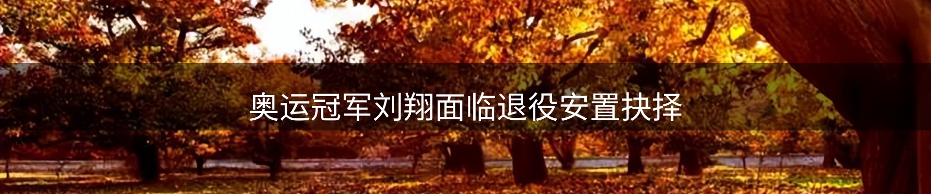 内页banner